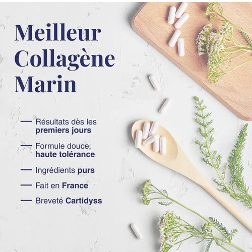 Collagène Marin Cartidyss® Luunera
